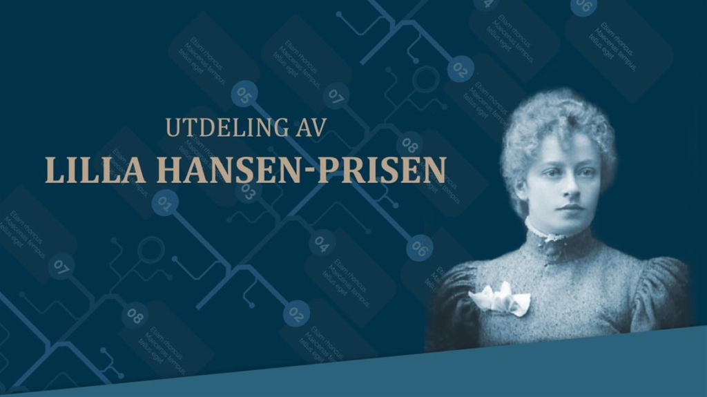 Lilla-hansen-banner-forsvarsmateriell